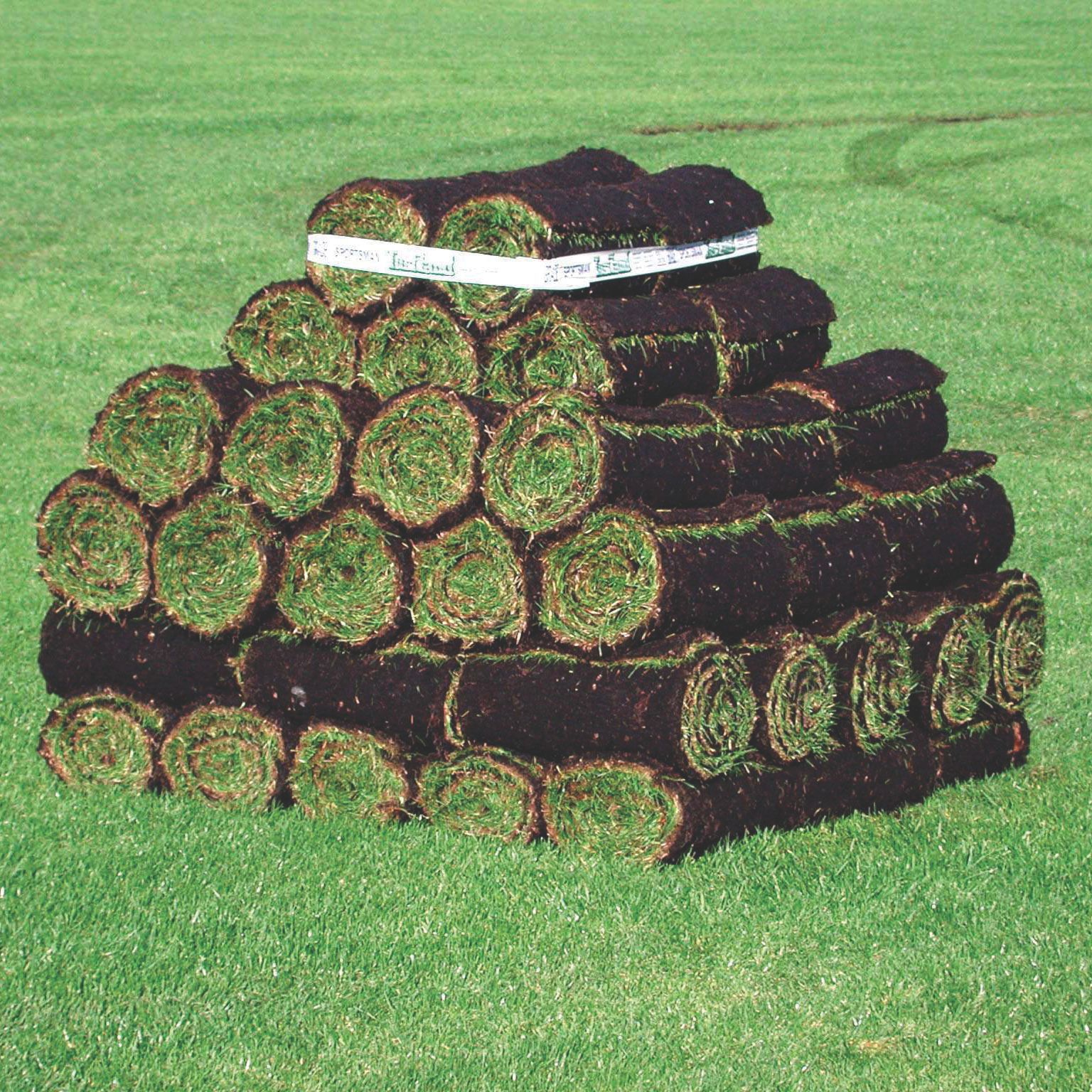 Lawn Turf Departments DIY at B&Q