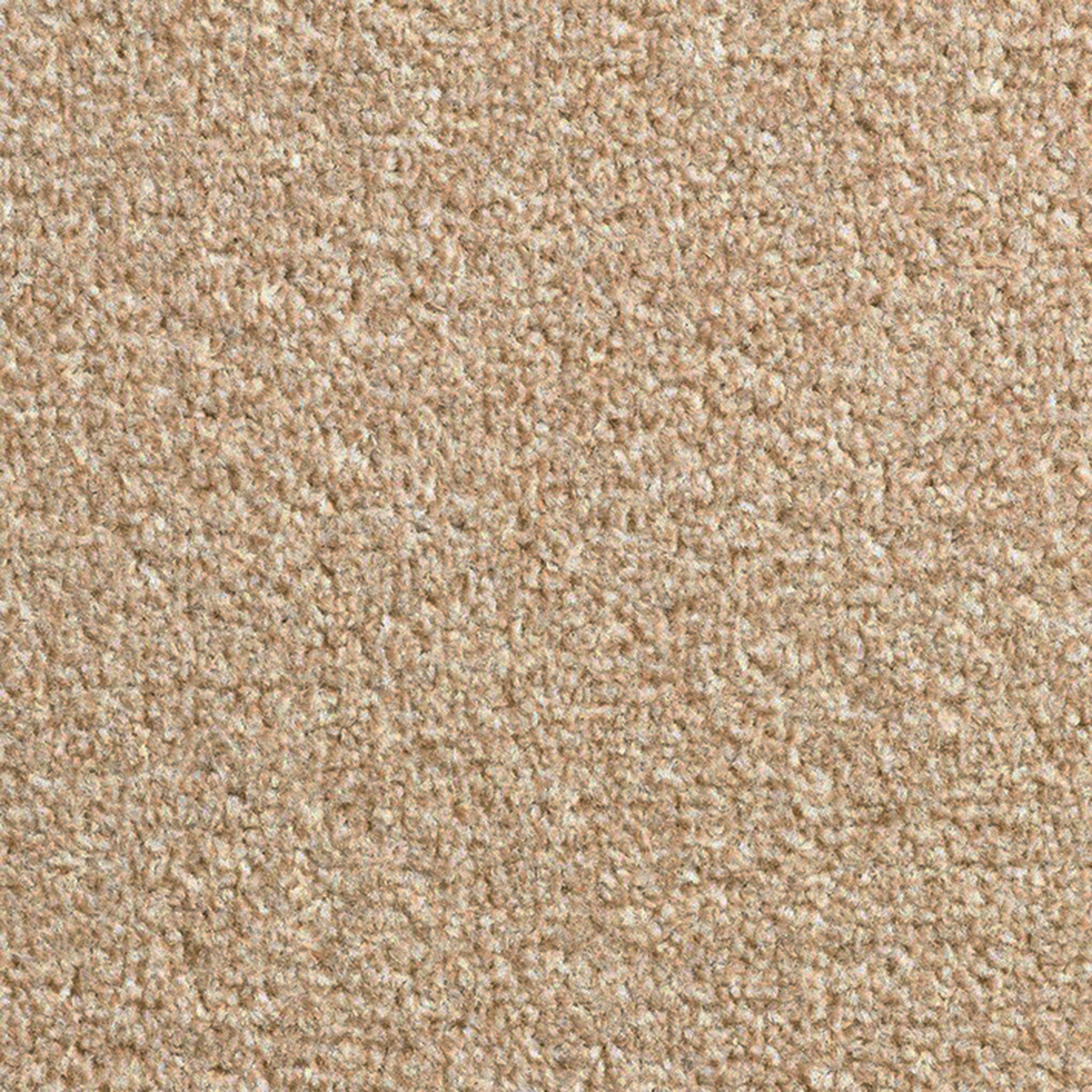 Modern Beige Walls What Color Carpet with Best Design