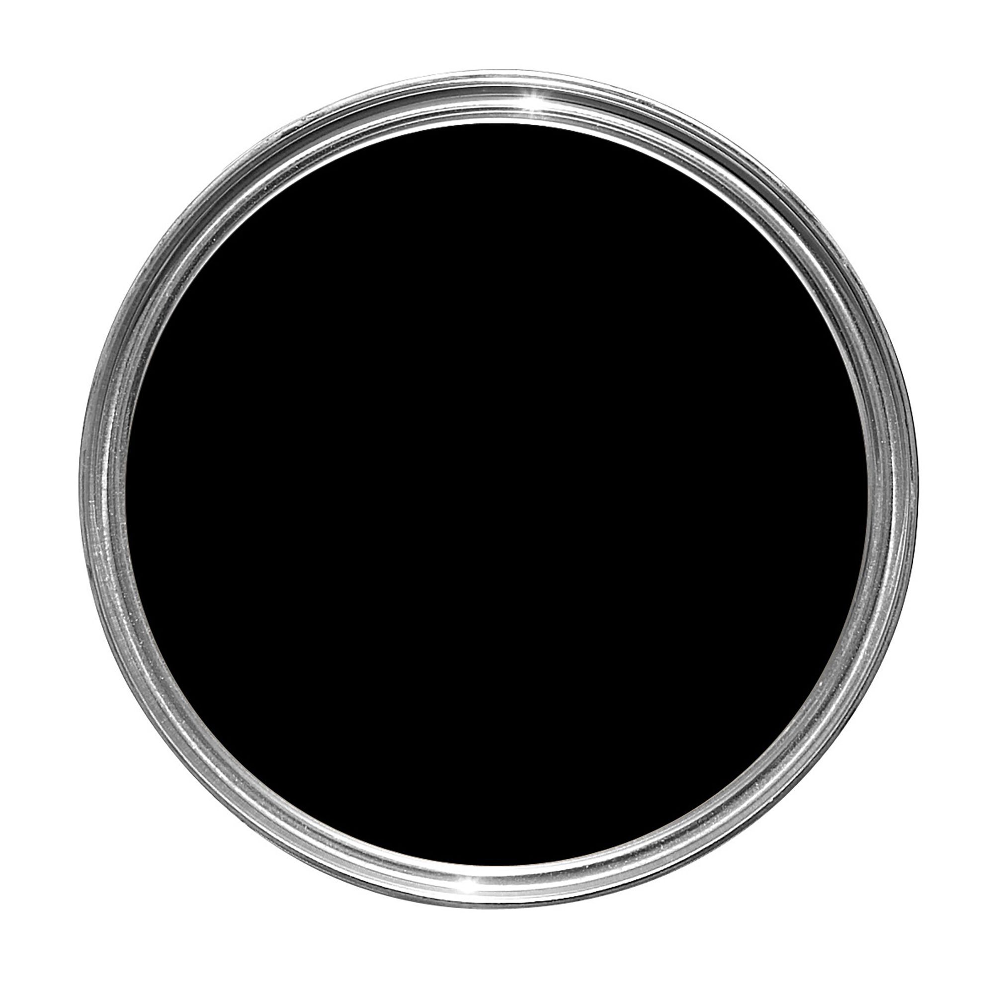 Fortress Black Gloss Metal Paint 250ml | Departments | DIY At B&Q