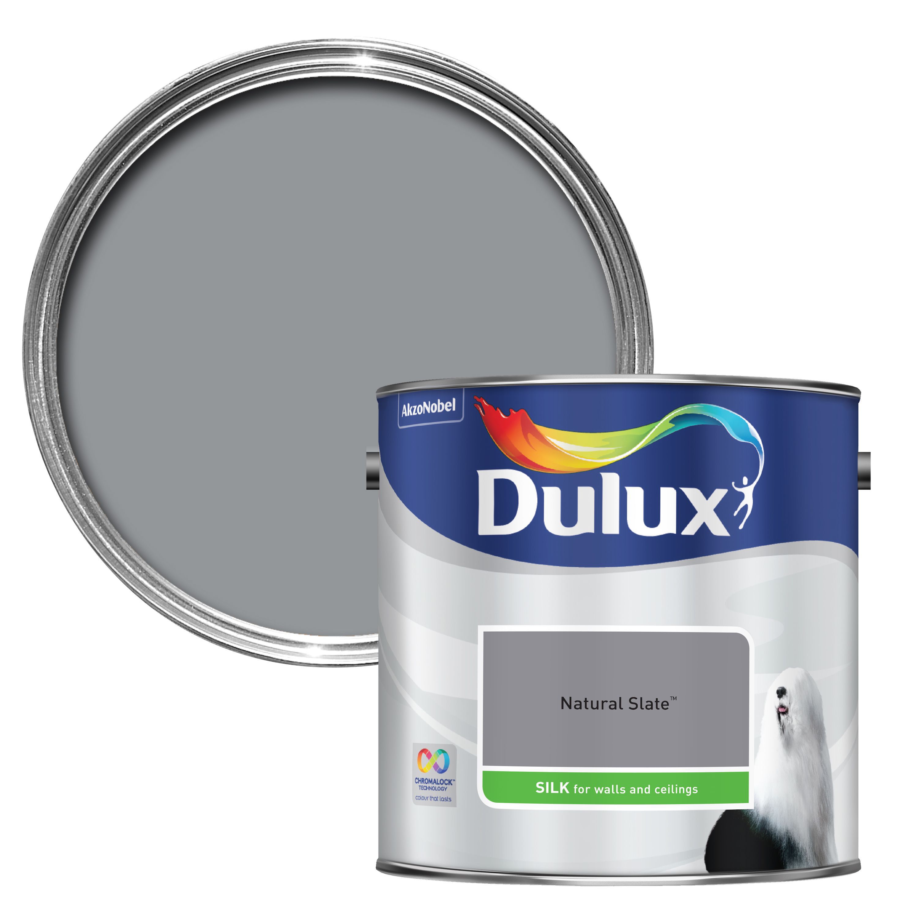 Dulux Grey Wall Paint DIY