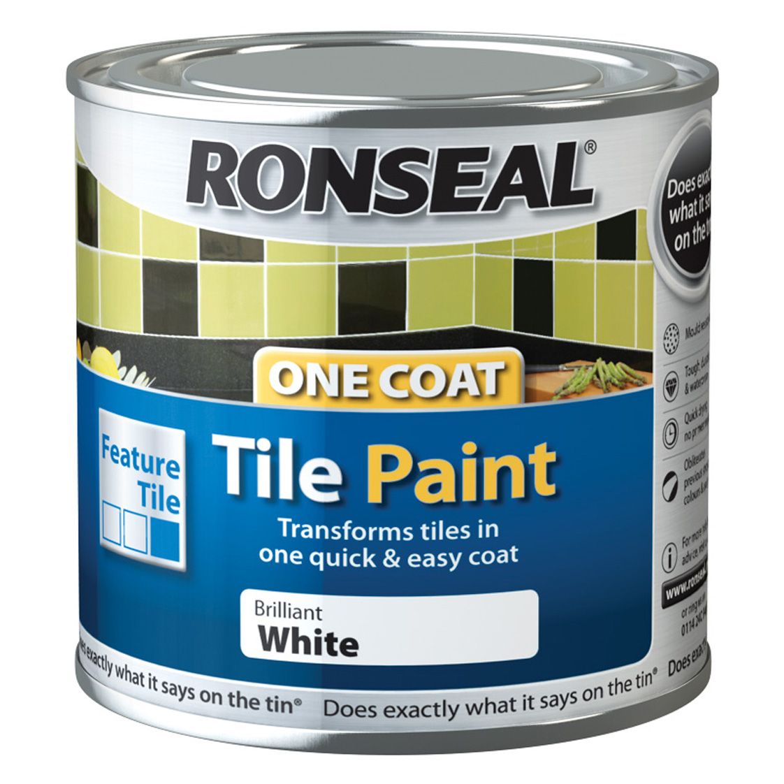 Ronseal Paint DIY