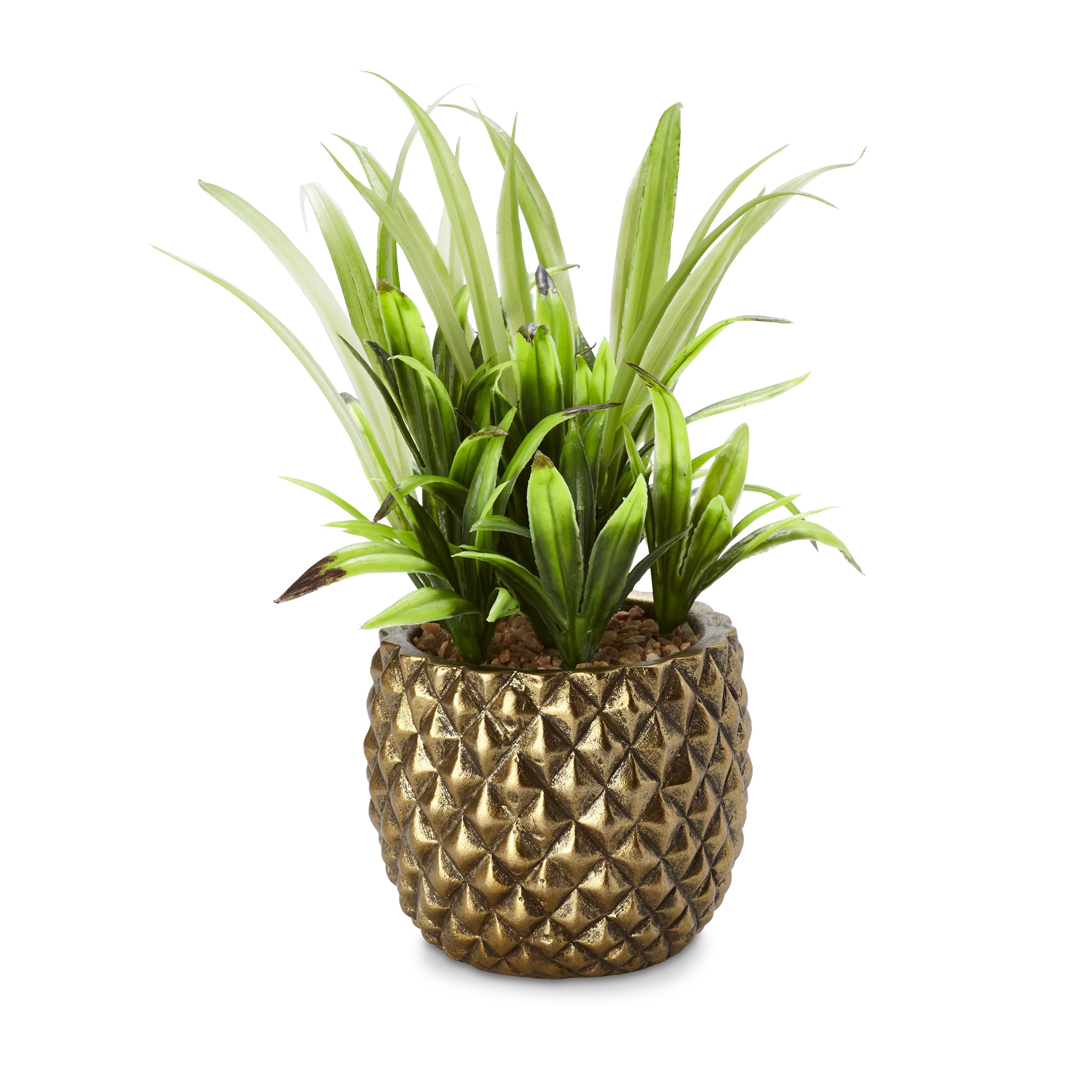 Pineapple Pot with Plant Departments DIY at B&Q