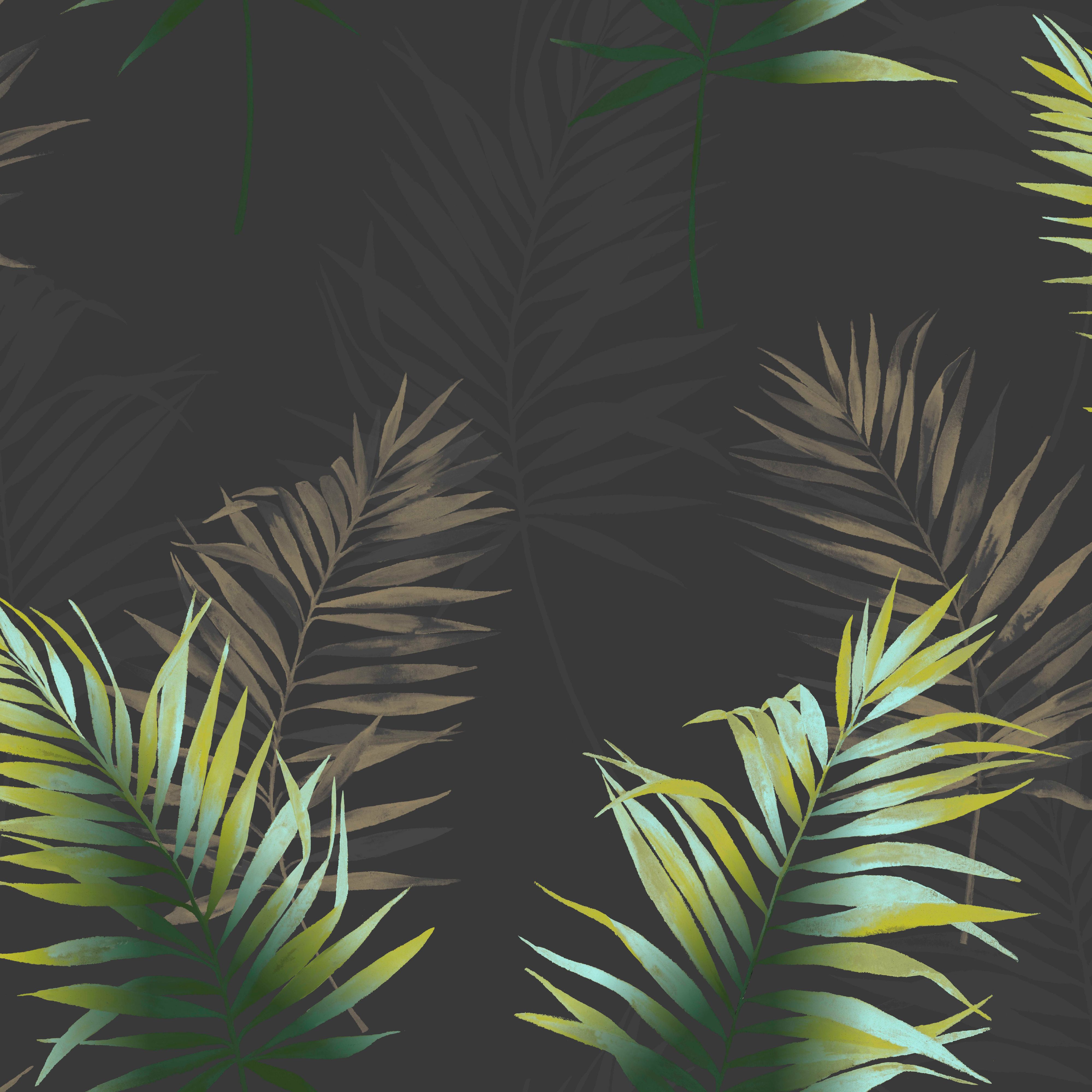 Fine Décor Kalani Black & Green Palm Leaf Wallpaper | Departments | DIY