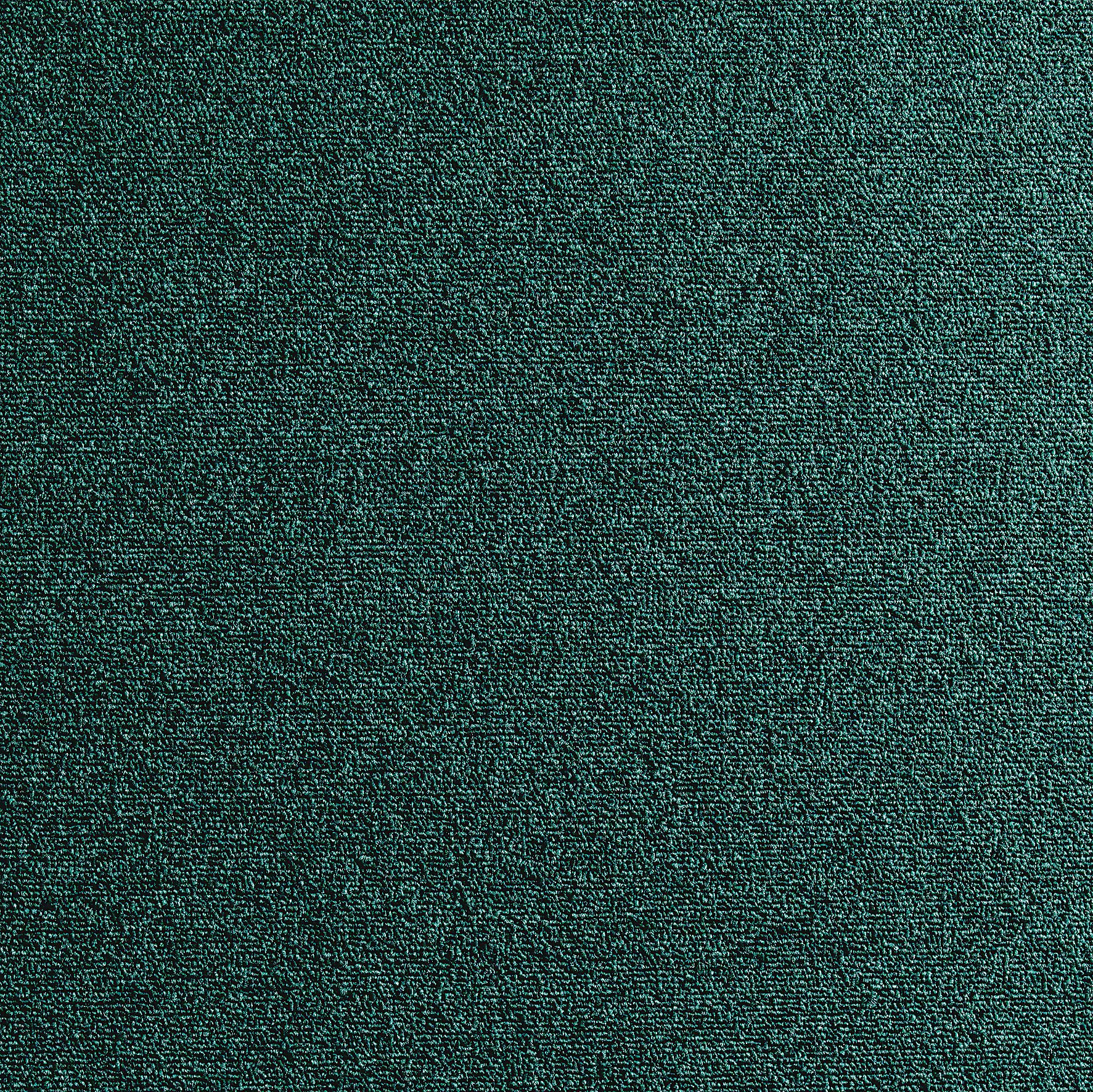 Colours Dark green Carpet tile | Departments | DIY at B&Q