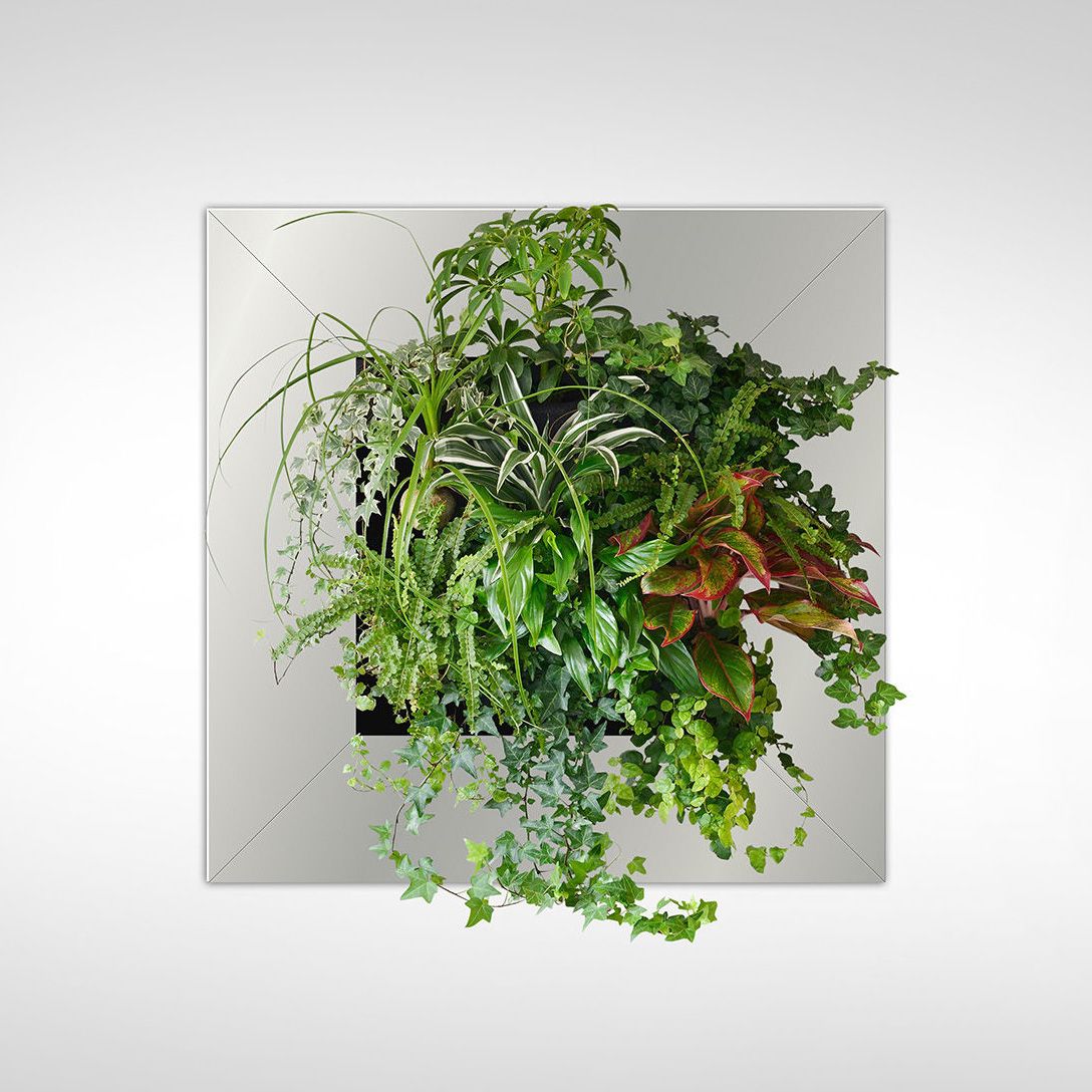 Verve Hanging Plant In Plastic Pot Departments DIY at B&Q