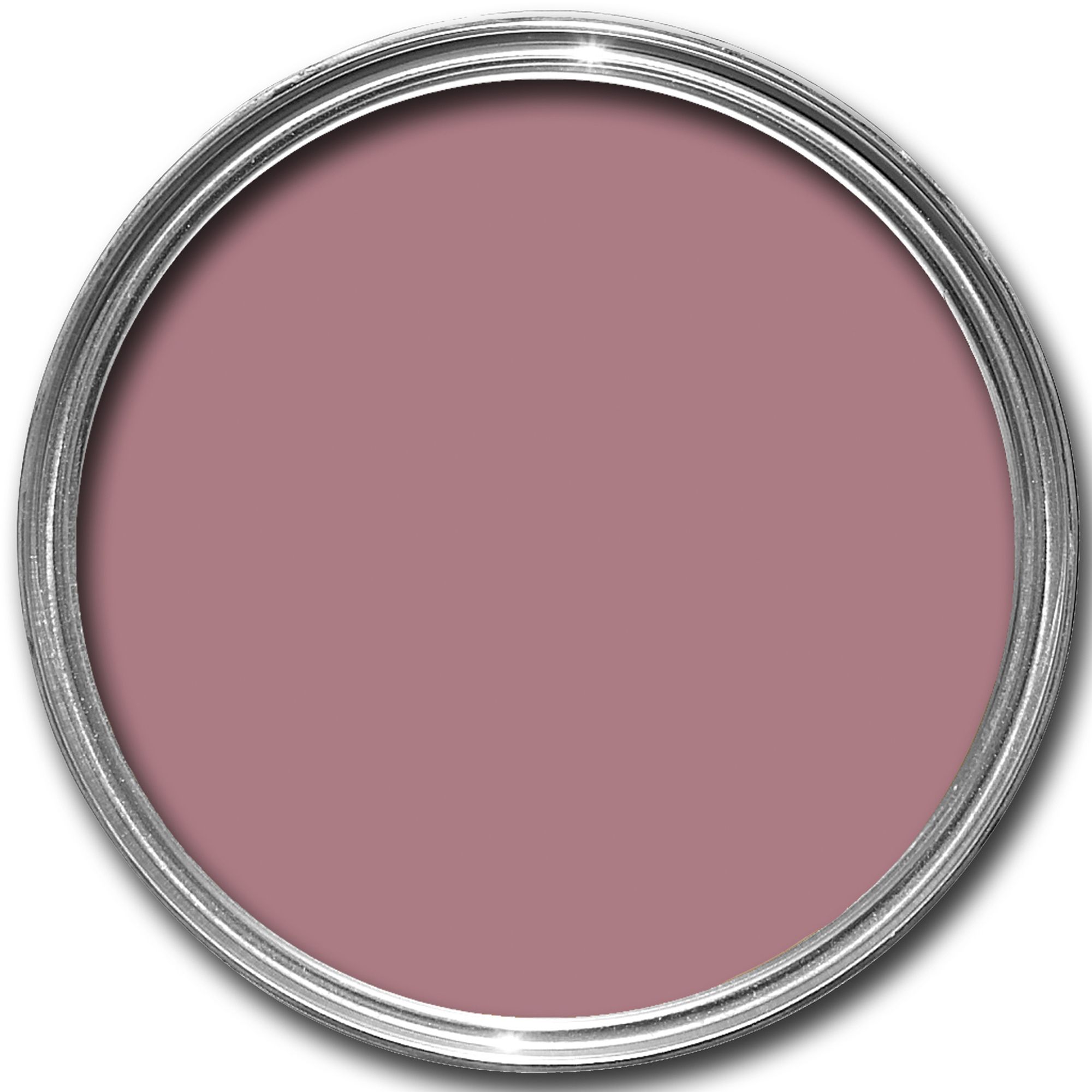 Ronseal Daisy Garden Paint 250ml Departments DIY at B&Q