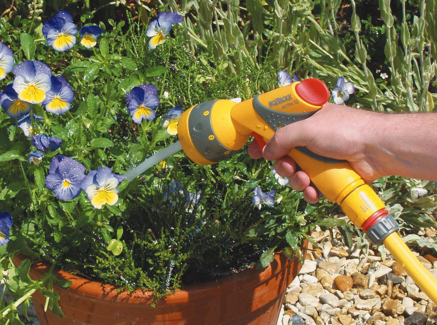 How to add instant colour to your garden Help & Ideas DIY at B&Q