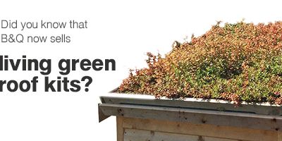 Did you know that B&amp;Q now sells living green roof kits?