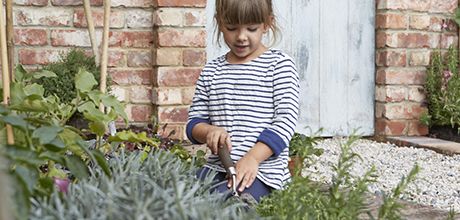 Child in walled garden