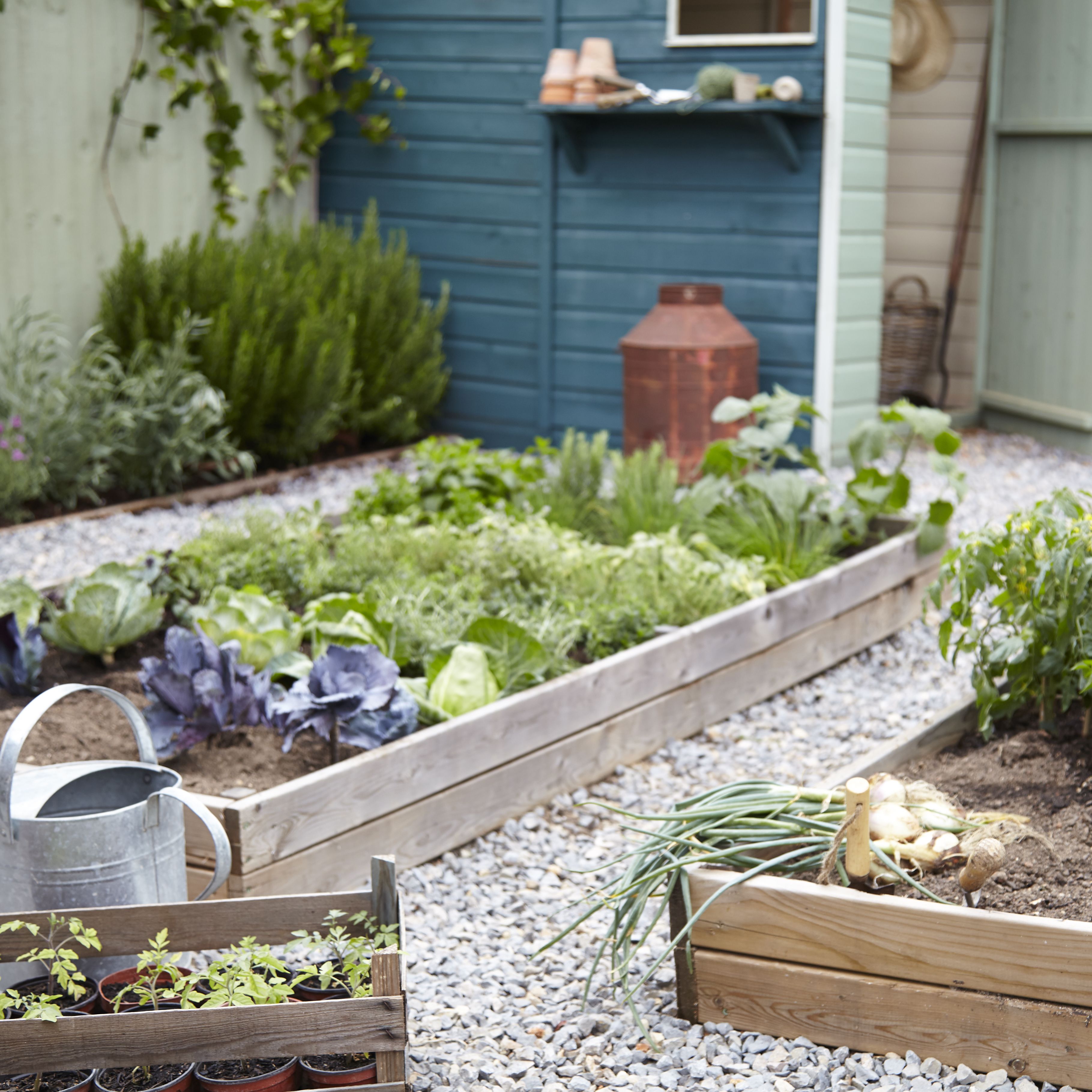 How to design a safe and fun family garden | Help & Ideas | DIY at B&Q