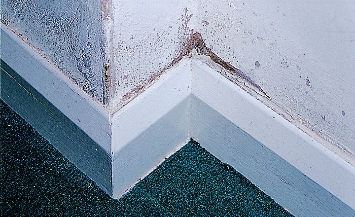 damp in walls