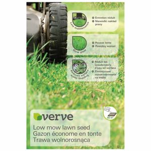 Image of Verve Low mow Lawn seed 1.5kg