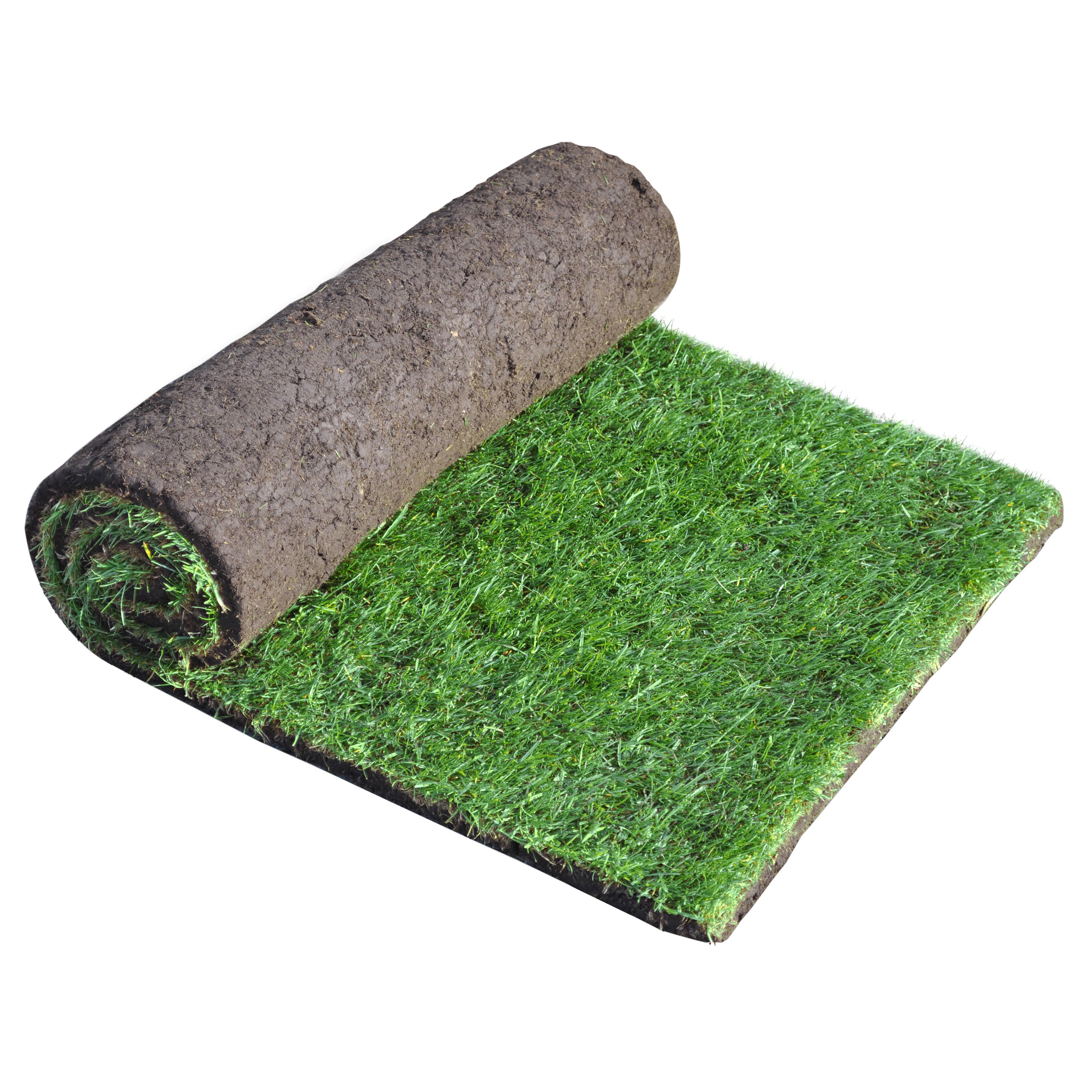 Lawn Turf | Departments | DIY At B&Q