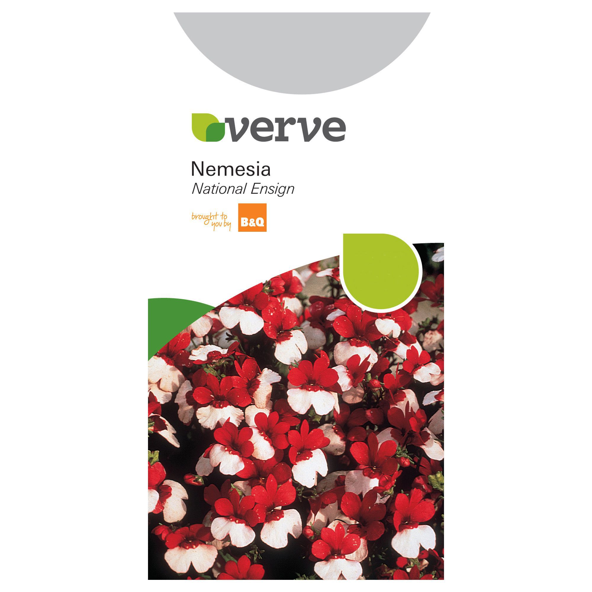 Verve Nemesia Seeds, National Ensign Mix Departments DIY at B&Q