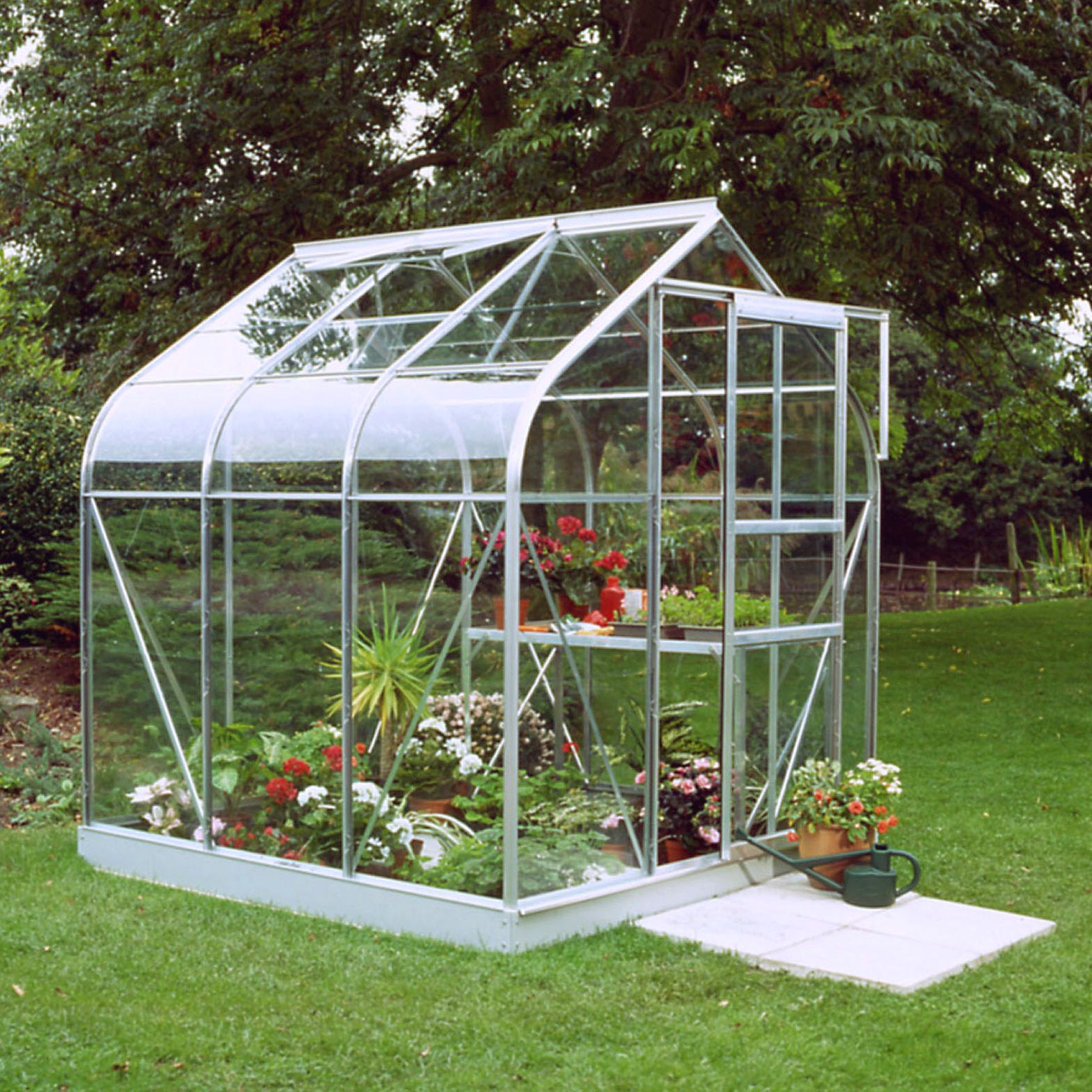 B&Q Metal 6x6 Toughened safety glass greenhouse ...