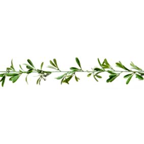 1.8m Mistletoe Green Non-illuminated Christmas garland