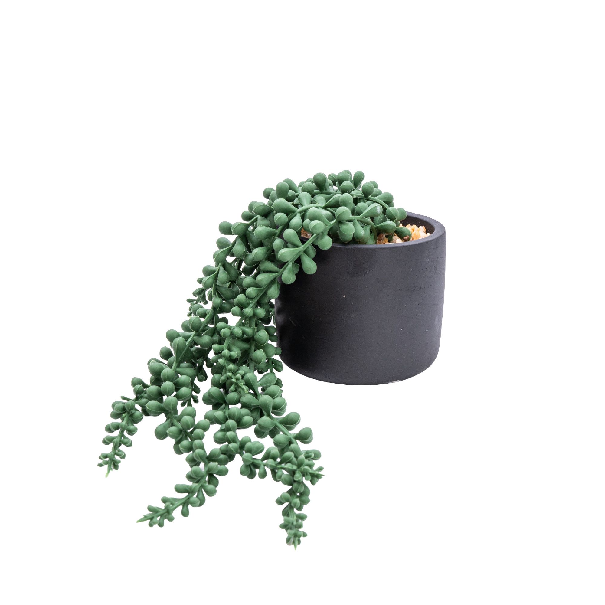 12cm String of pearls Artificial plant in Black Ceramic Pot