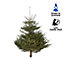 150-180cm Nordmann fir Medium Full Cut christmas tree