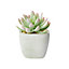 16cm Aloe rose cactus Artificial plant in Grey Concrete Pot