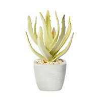 17cm Aloe cactus Artificial plant in Grey Concrete Pot