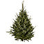 180-210cm Fraser fir Cut christmas tree