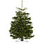 180-210cm Nordmann fir Cut christmas tree