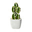 18cm San pedro cactus Artificial plant in Grey Concrete Pot