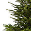 240-270cm Nordmann fir Extra large Full Cut christmas tree