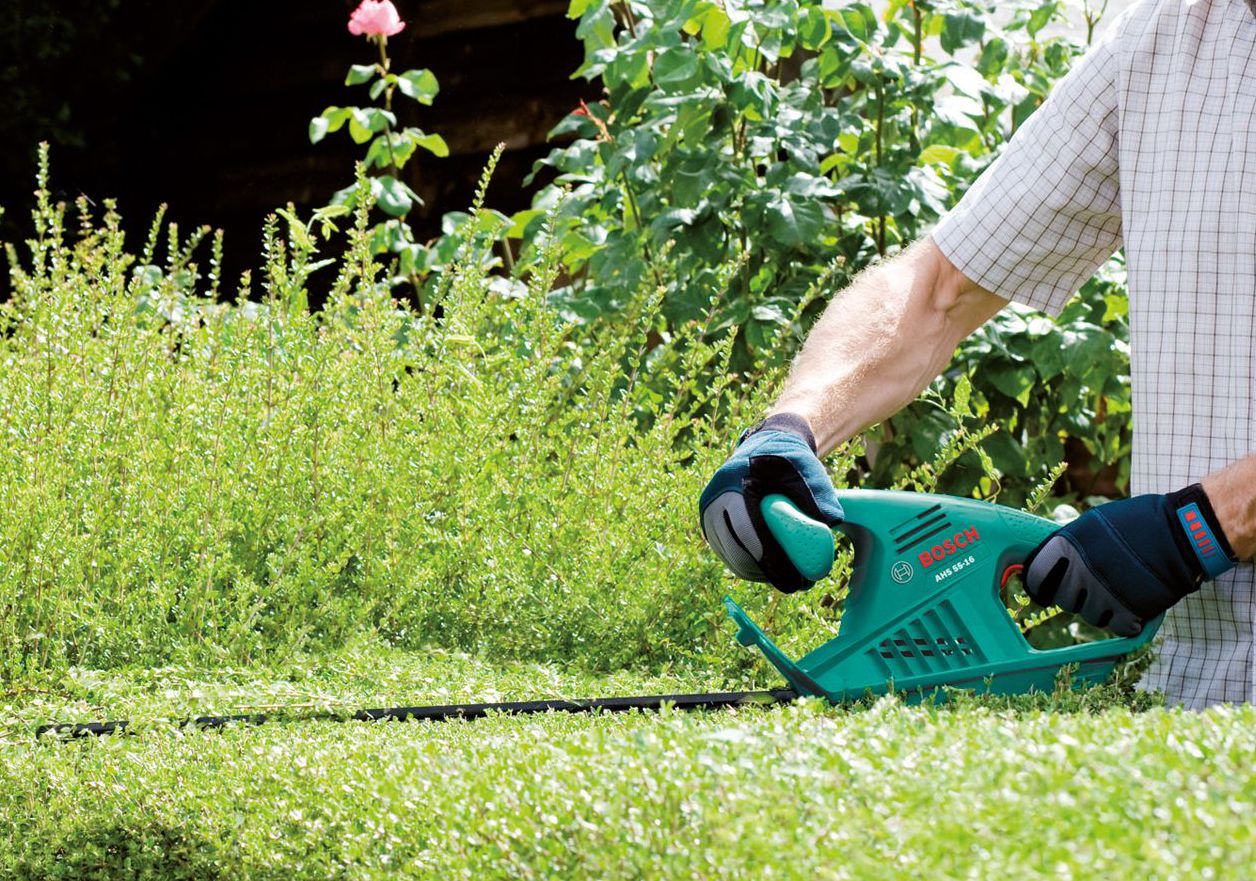 Hedge trimmer buying guide Ideas & Advice DIY at B&Q