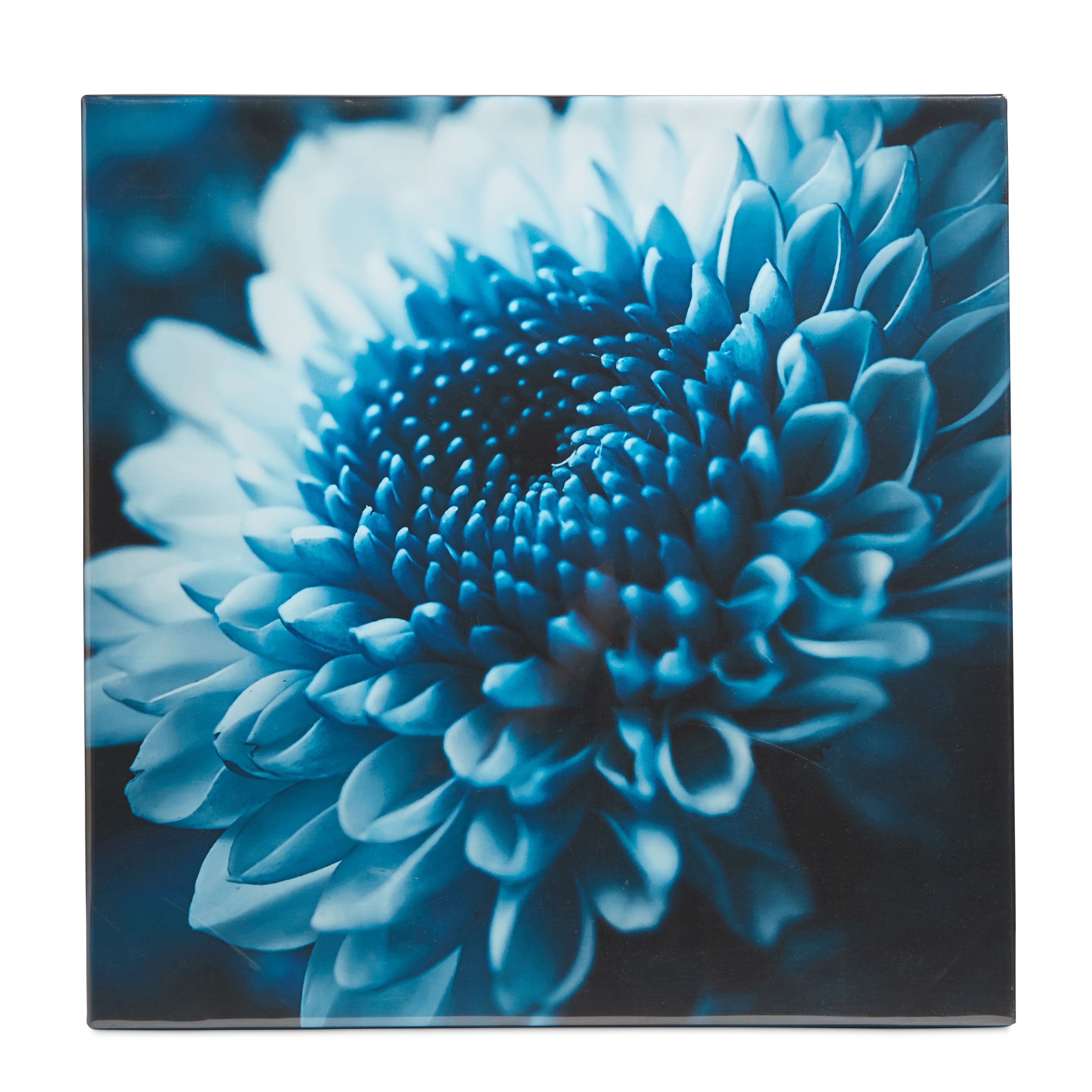Flower Blue Canvas (W)550mm (H)550mm | Departments | DIY at B&Q