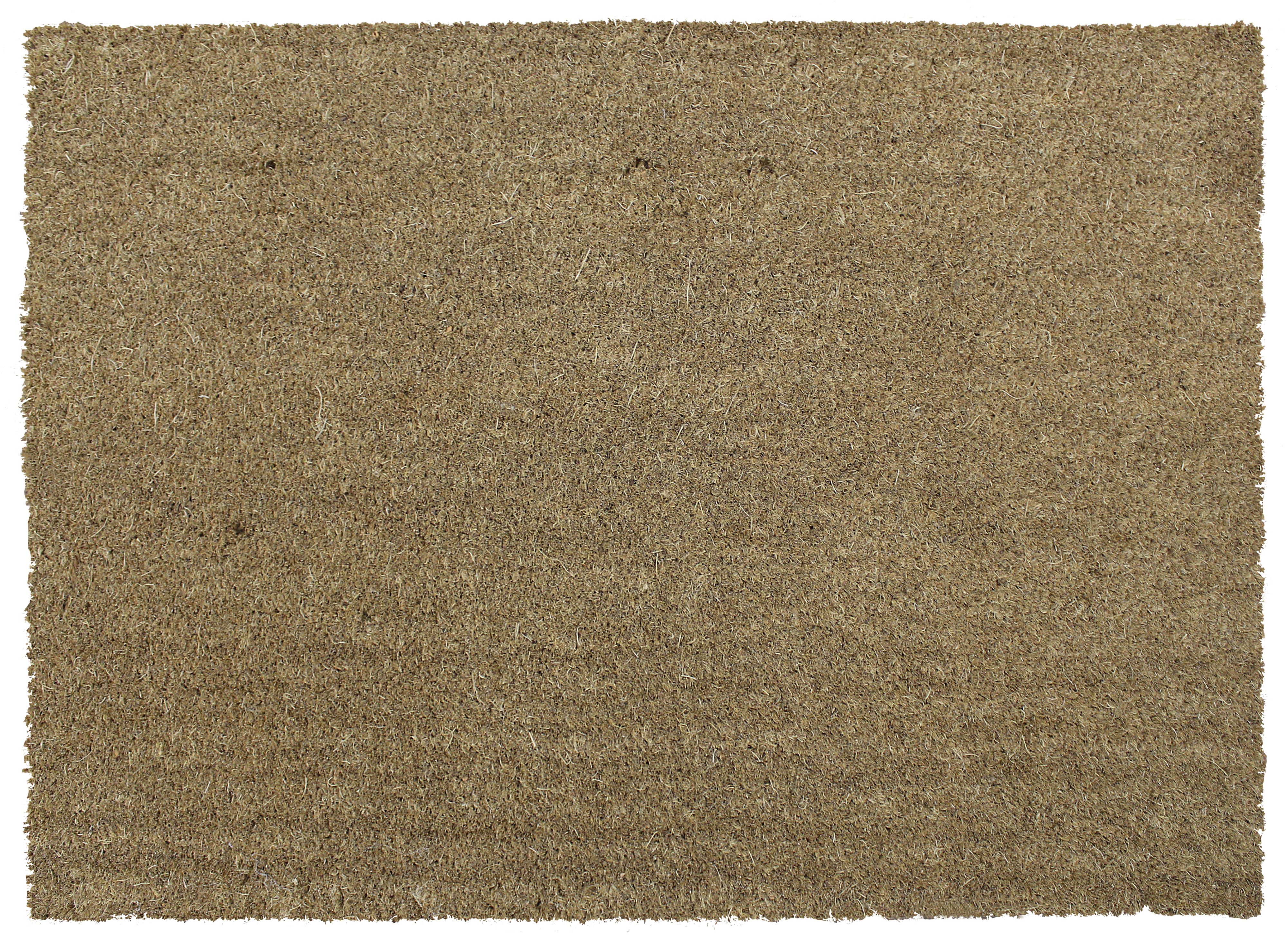 3663602029519 Diall Large Pvc Backed Coir Doormat Departments
