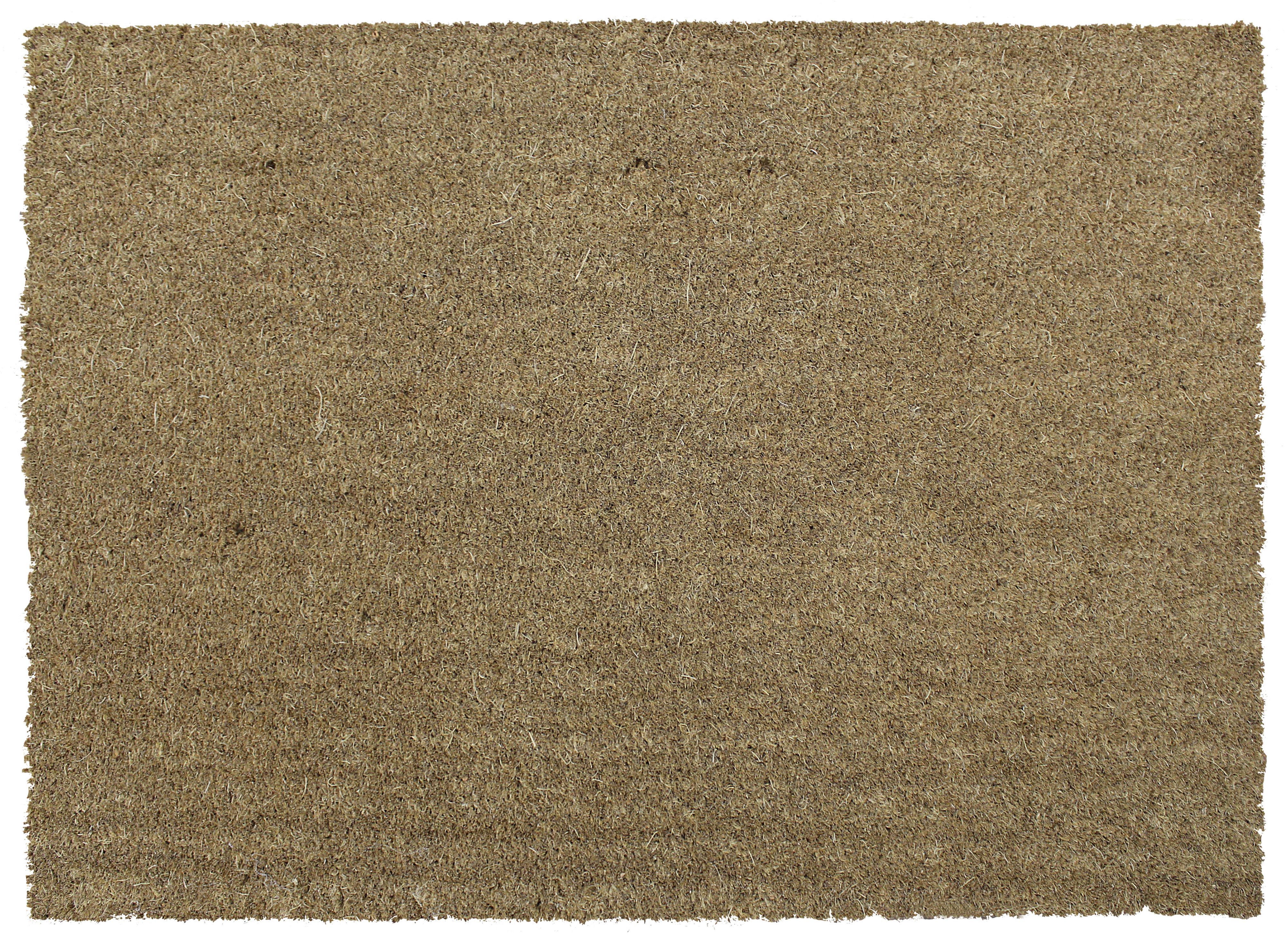 3663602029519 Diall Large Pvc Backed Coir Doormat Departments