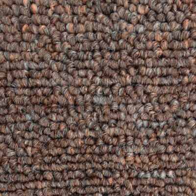 Colours Benza Beige Loop Carpet, (W)400mm
