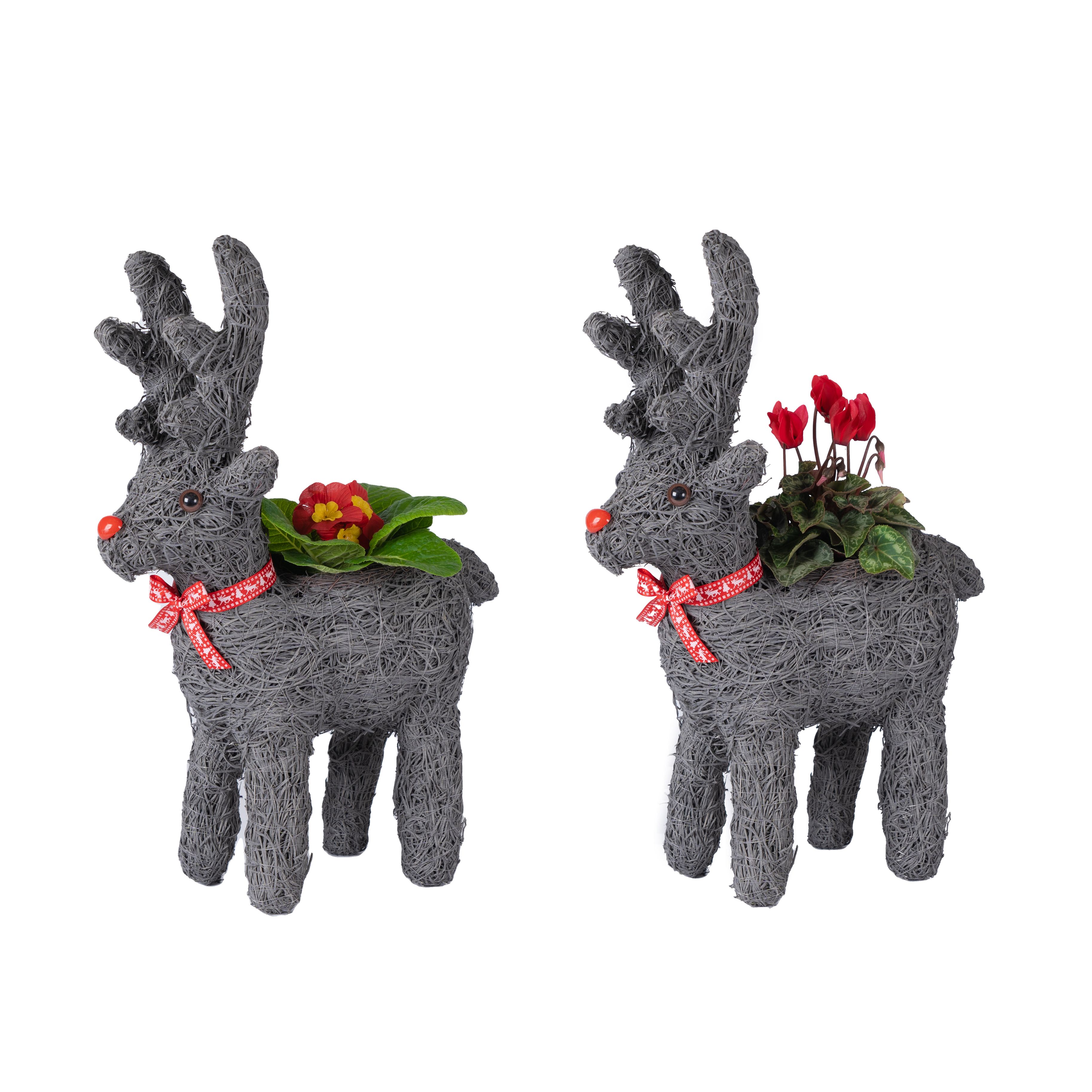 Novelty reindeer planter Departments DIY at B&Q