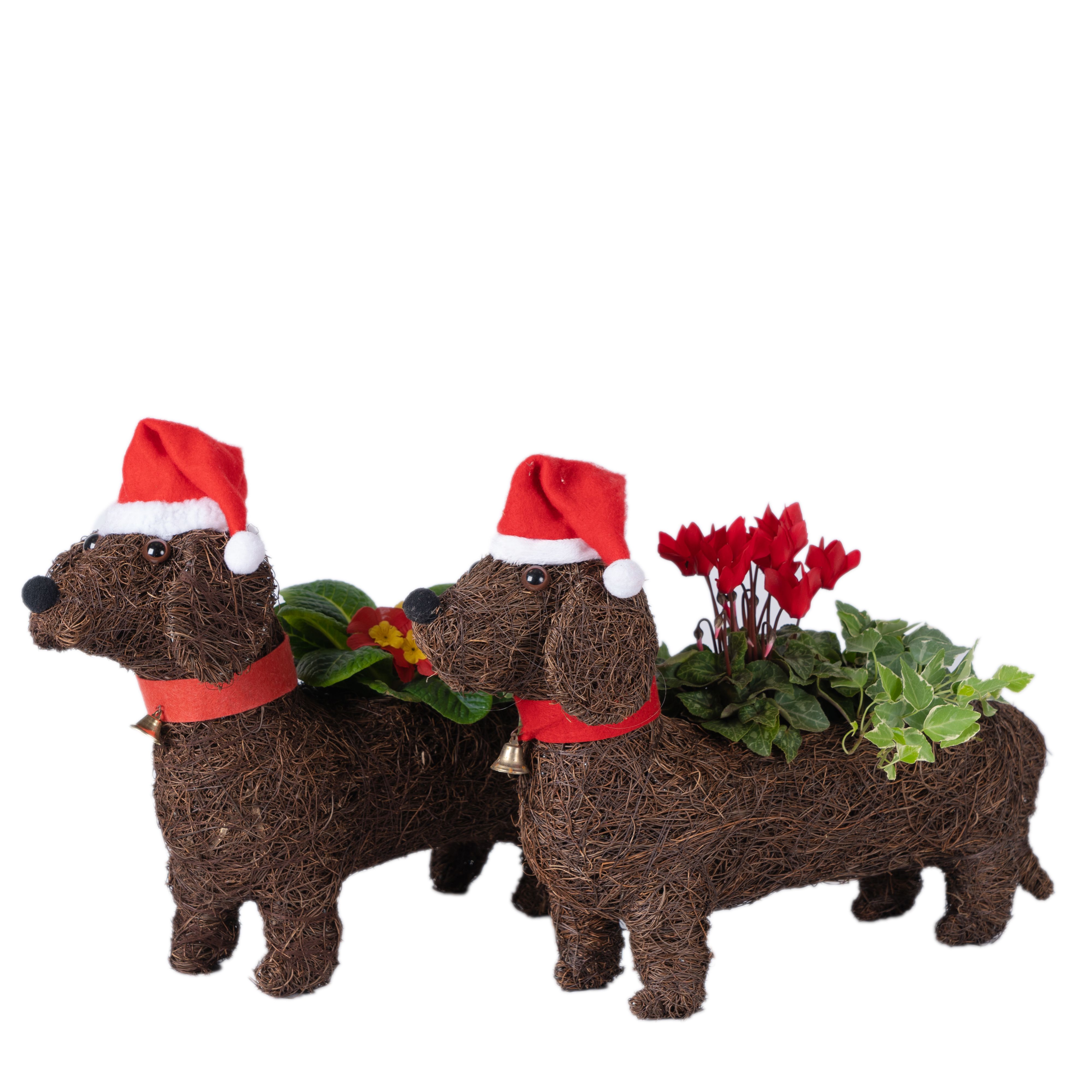 Christmas sausage dog planter Departments DIY at B&Q