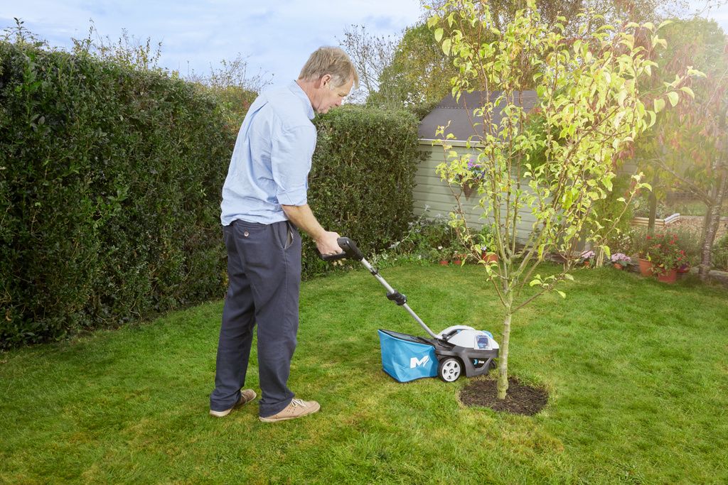 caring for your lawn