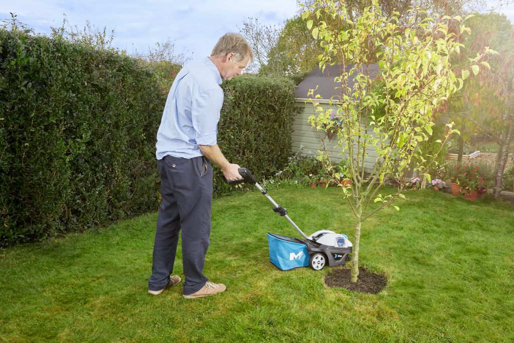 diy lawn maintenance