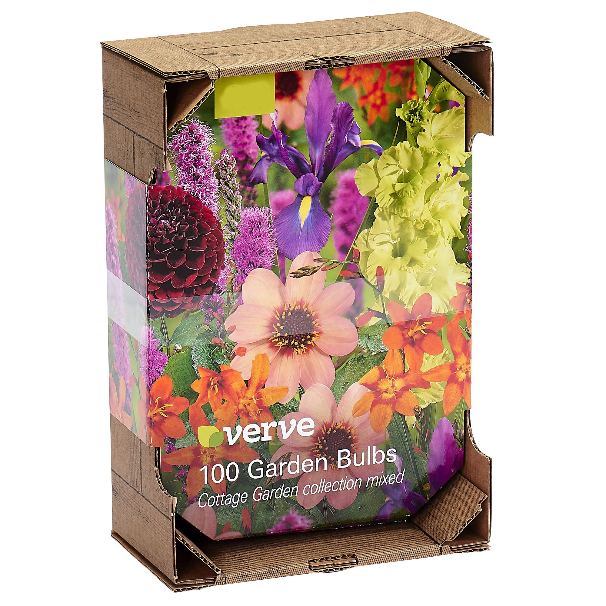 Cottage garden mixed Flower bulb | Departments | DIY at B&Q