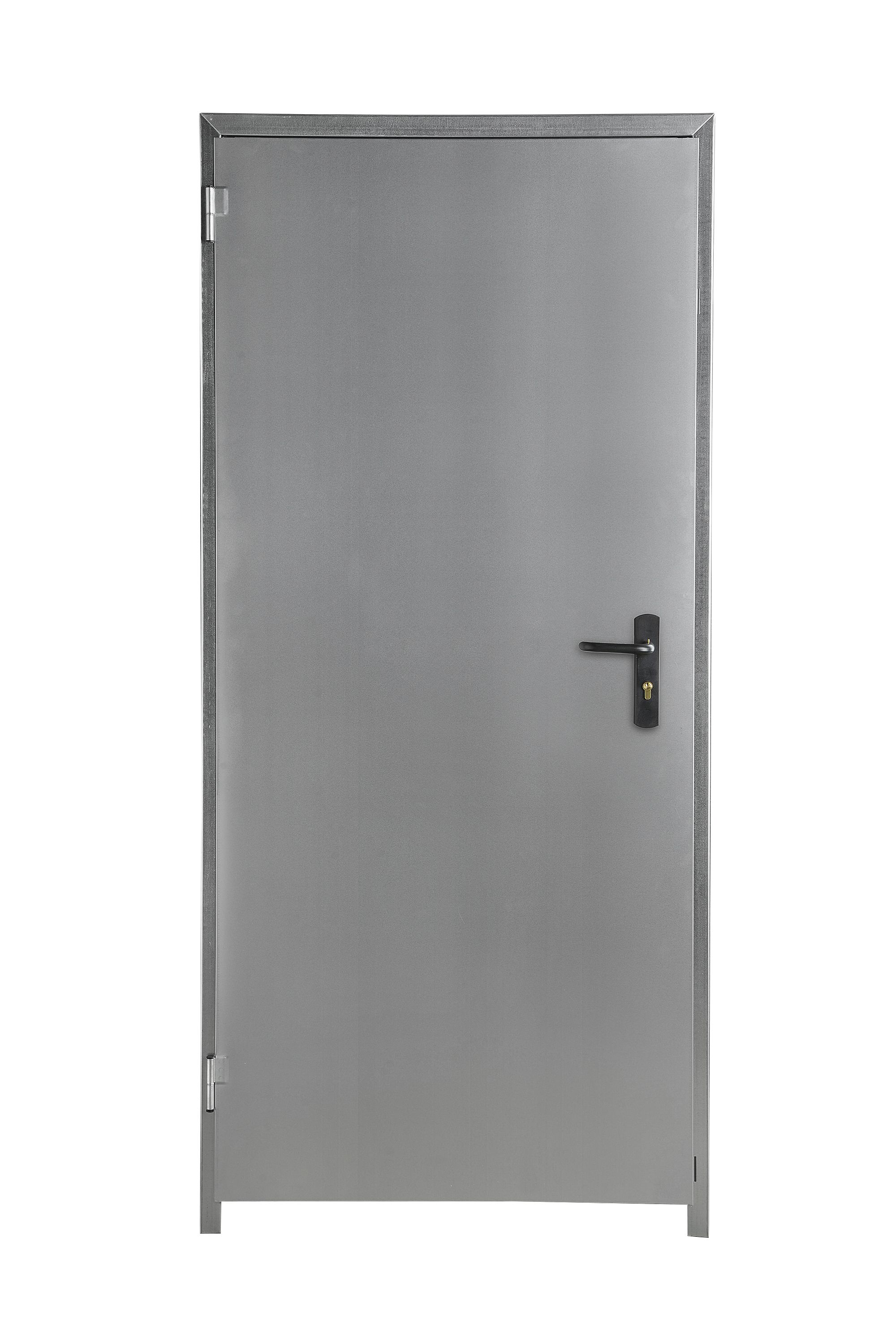 ETour Galvanised Steel Unglazed External Framed back door, (H)2100mm