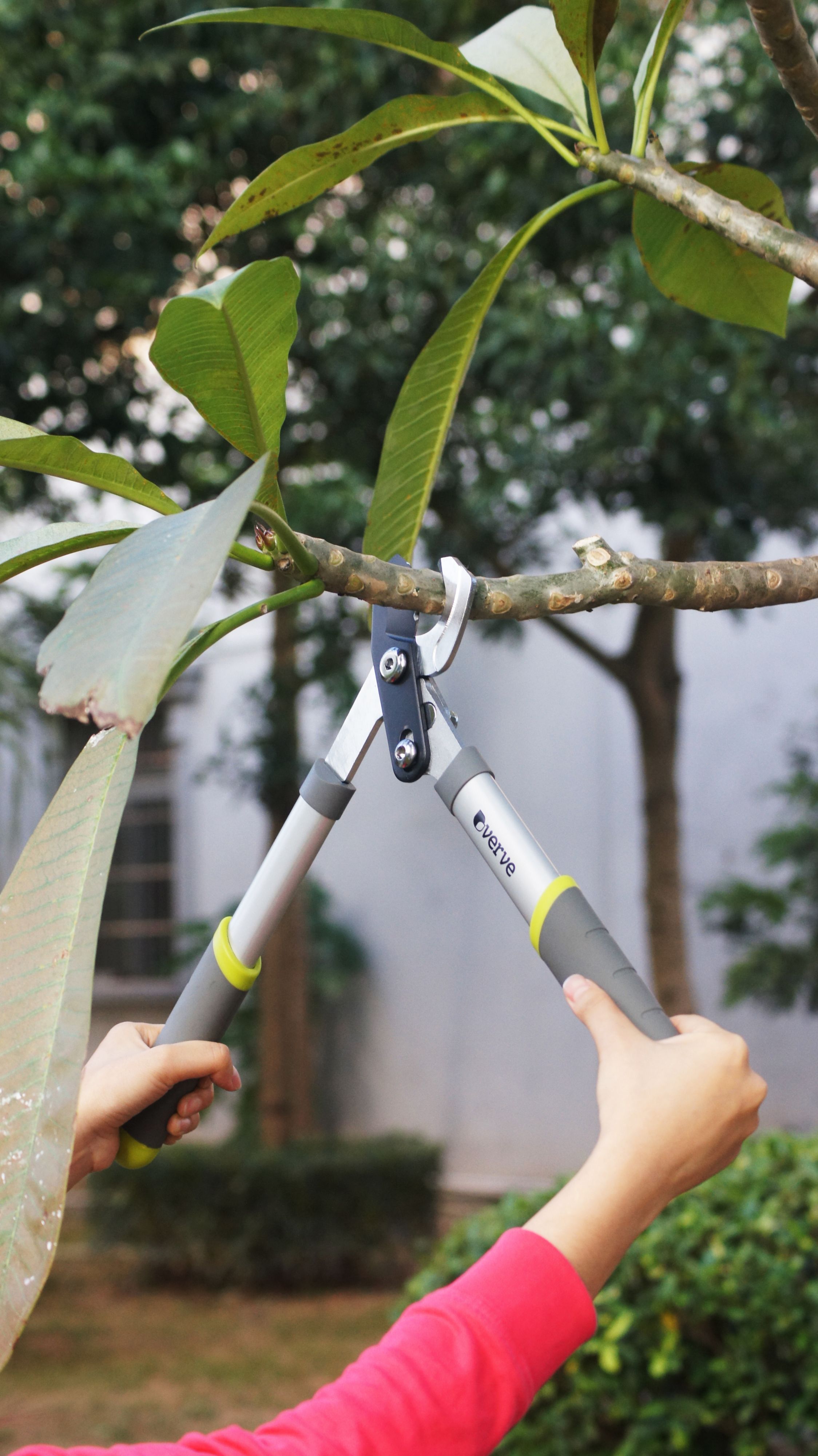 Verve Easy Grip Bypass Loppers at Buildiro