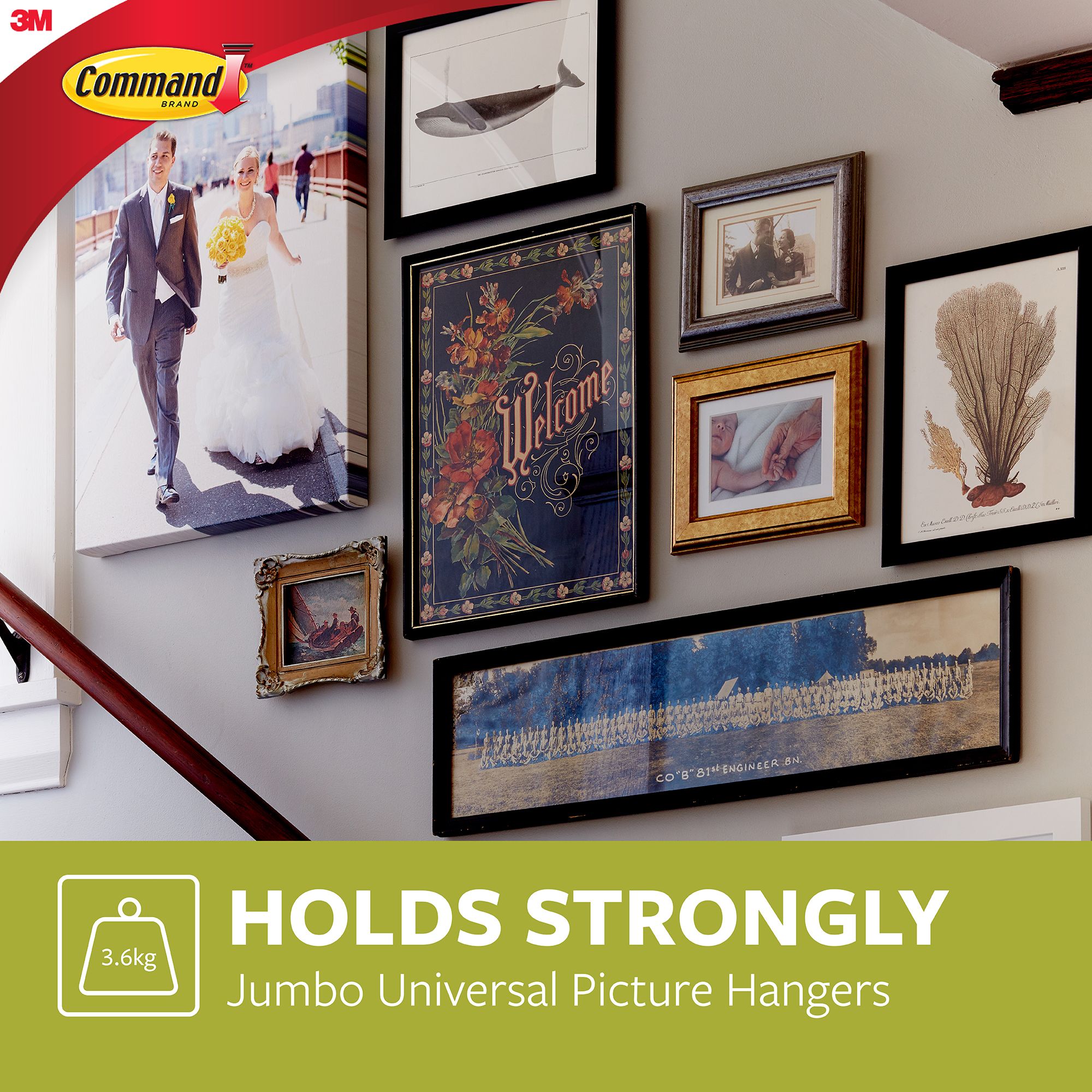 3M Command Steel effect Jumbo Single Picture hanging Sticky nail (Holds)3.6kg
