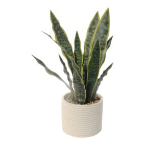 45cm Snake Artificial plant in Cream Ceramic Pot