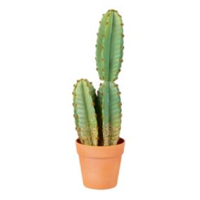 49.5cm Cereus Cactus Artificial plant in Terracotta Pot