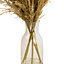 49cm Natural Pampas grass Artificial plant in Clear Glass Vase