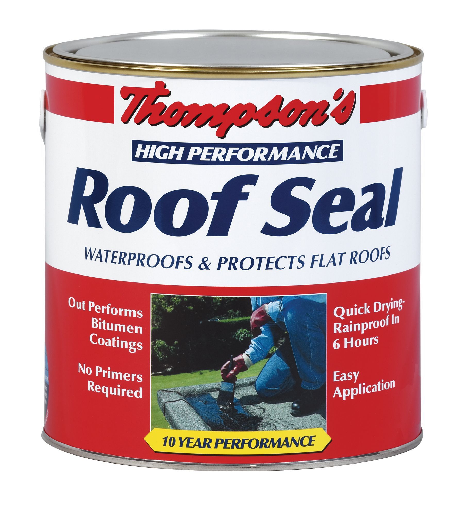 Thompson's High Performance Grey Roof Sealant 4L | Departments | DIY at B&Q