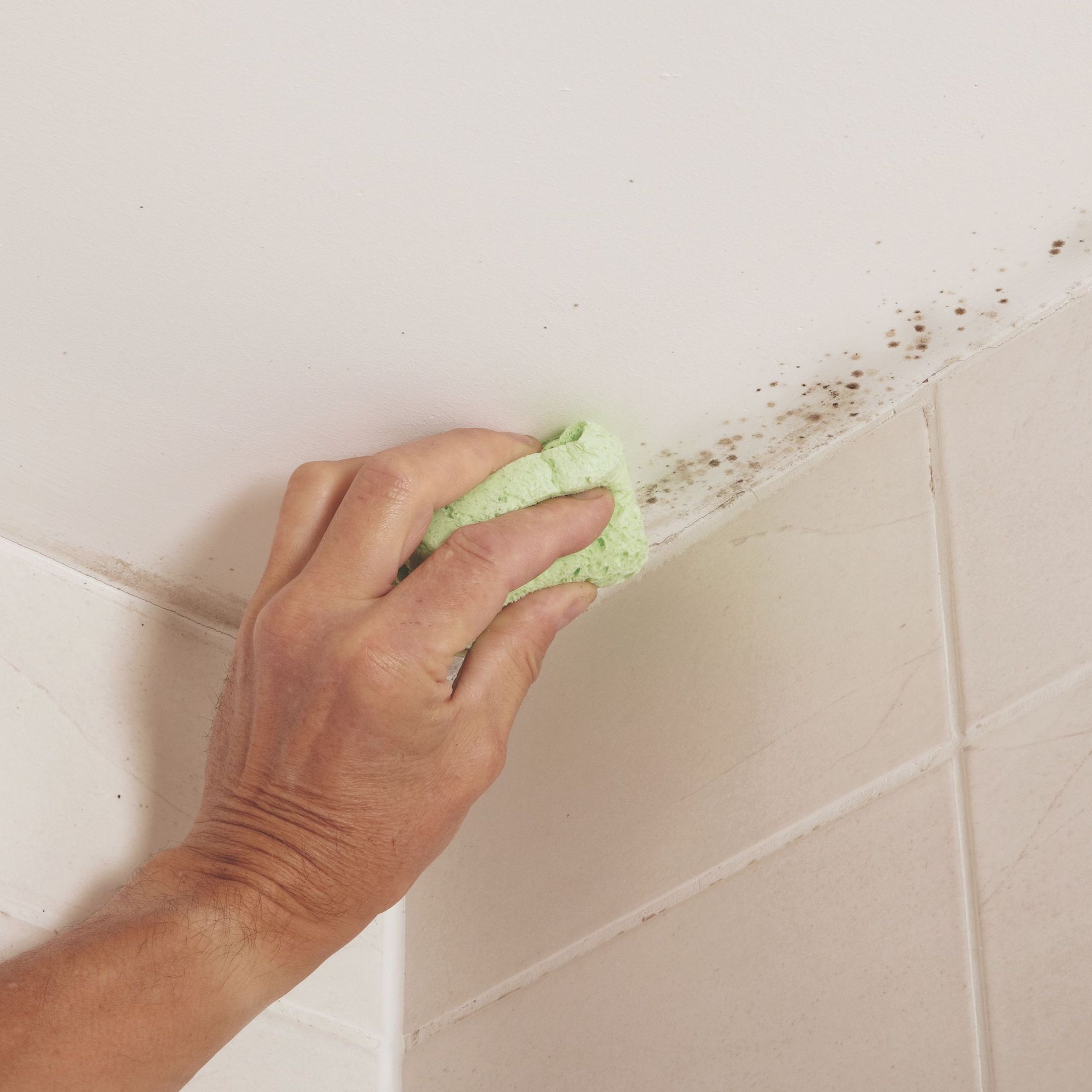 Dealing With Damp Ideas Advice Diy At B Q