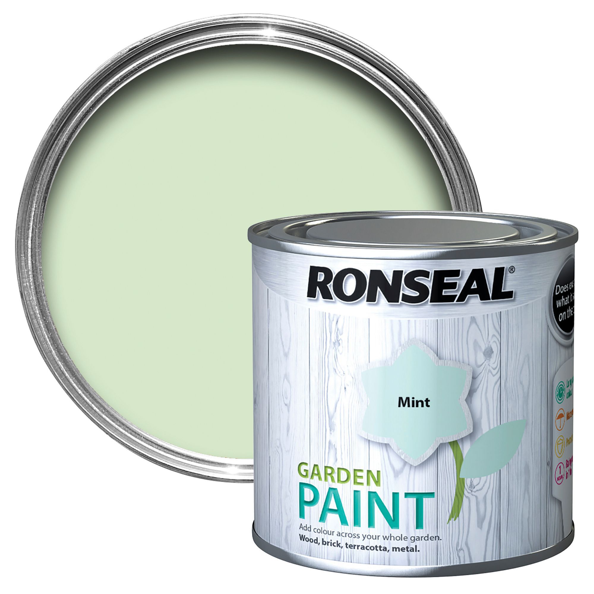 Ronseal Garden Mint Matt Paint 0.25L Departments DIY at B&Q