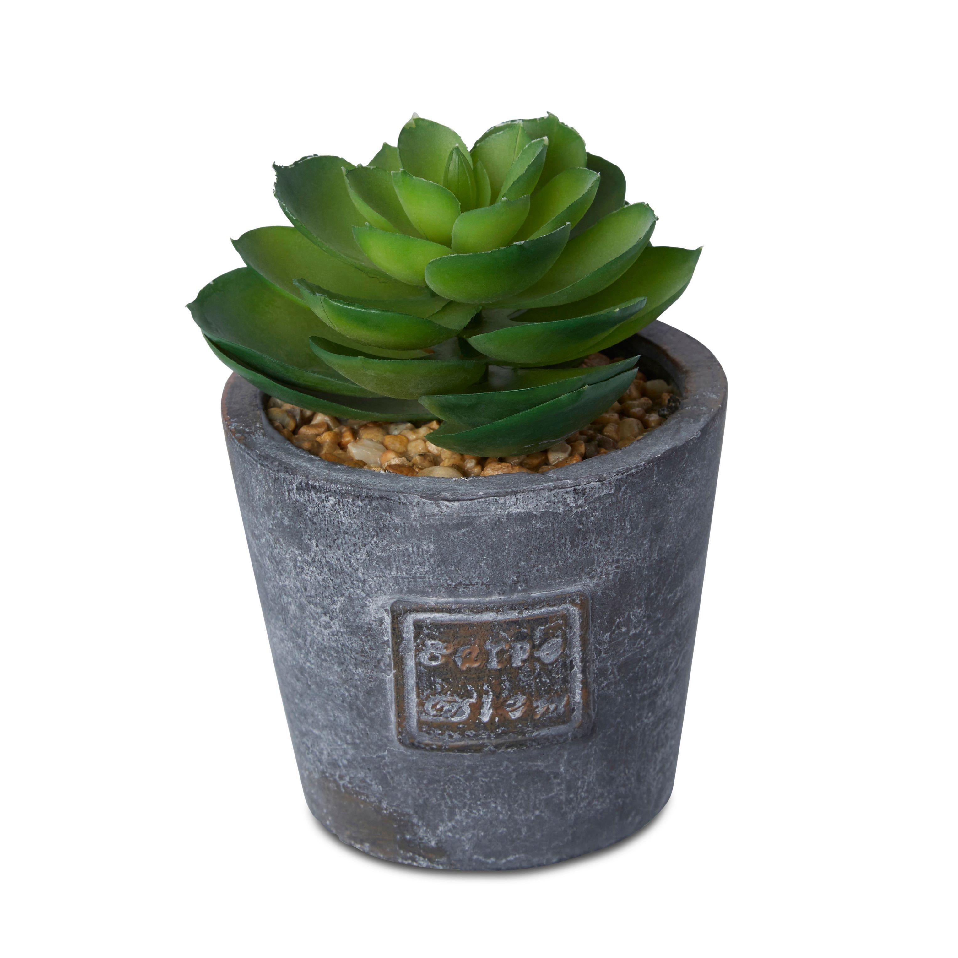 Plastic Succulent In A Pot Departments DIY at B&Q