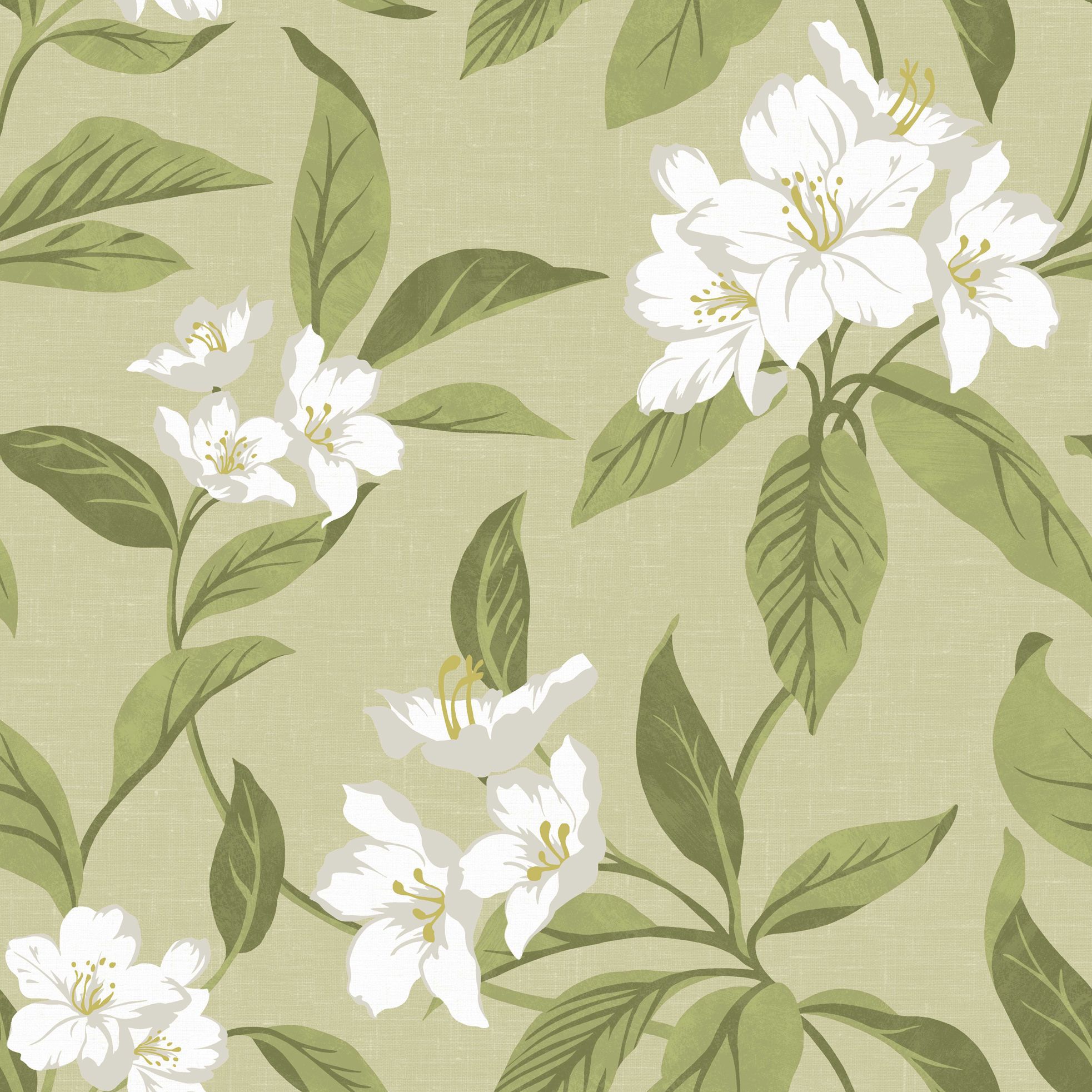 Hawaii Green Wallpaper | Departments | DIY at B&Q