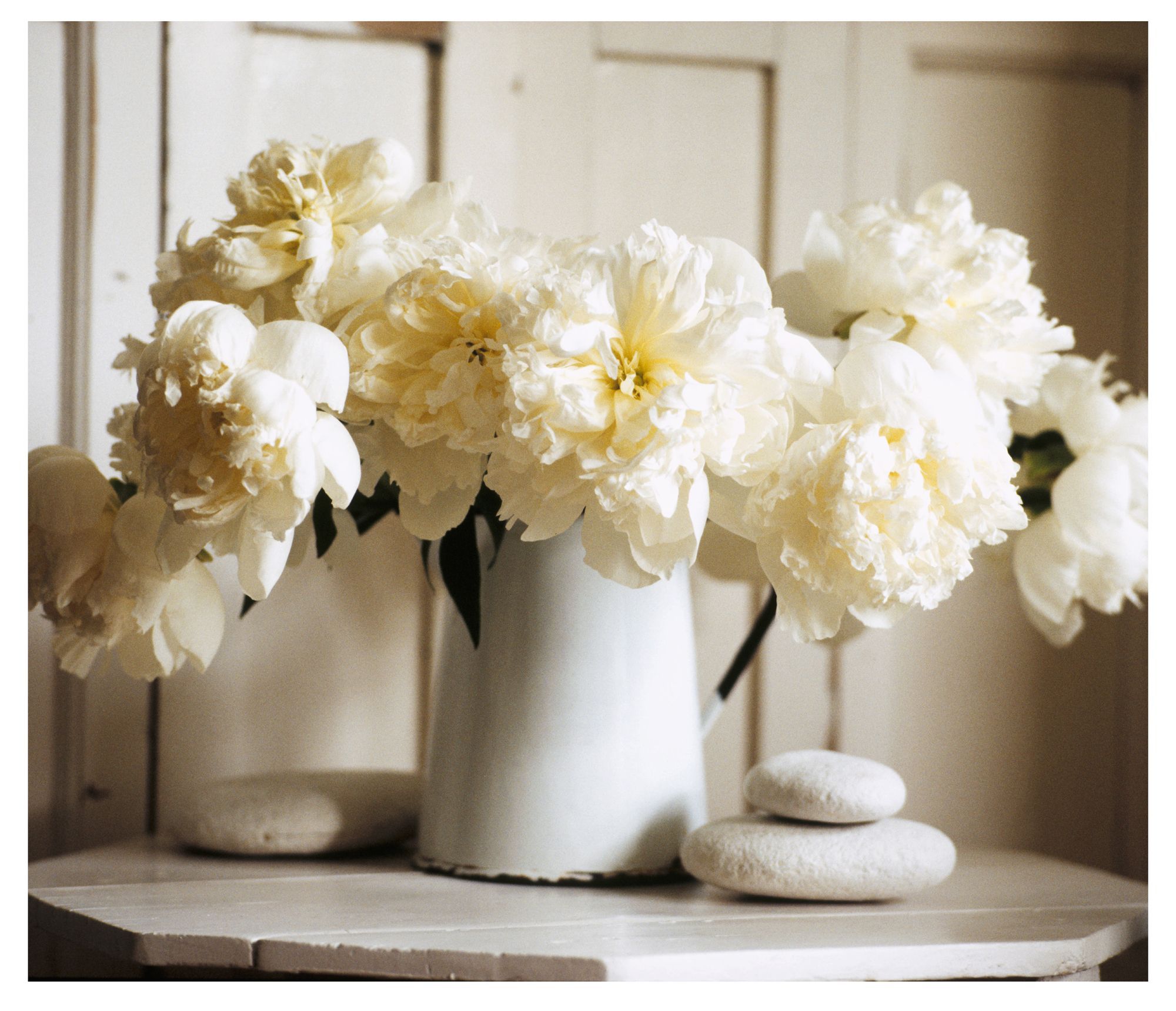 White Vases with Flowers Beige, Cream & Grey Canvas | Departments | DIY ...